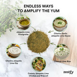 Zestify Verde Zing - Cilantro Jalapeno Lime Dip and Seasoning Mix | No Articial Ingredients, Anti-Caking Agents or Fillers (4x 1 oz seasoning packets)