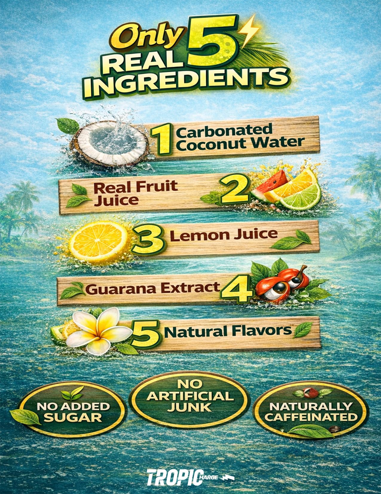 Tropicharge 100% Coconut Water Energy Drink with Guarana Extract (24 pack 330ml/6 flavours) - Zero Sweeteners or Added Sugar - All Natural - Passion