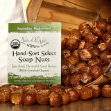 NaturOli Soap Nuts/Soap Berries. 23+ LOADS! Natural Laundry Detergent and Cleaner - Select seedless.