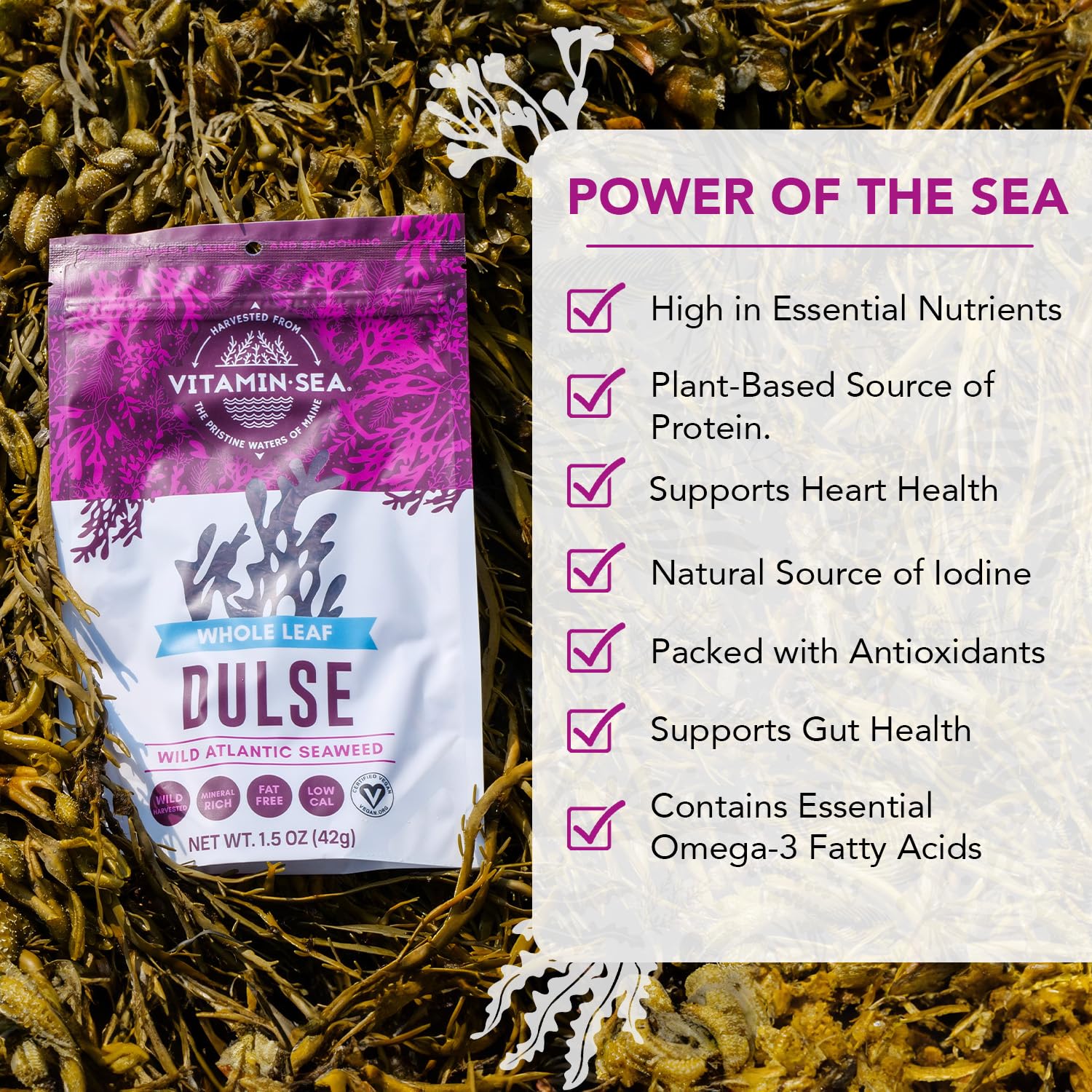 VITAMINSEA Dulse Dried Seaweed | Wild North Atlantic Seaweed for Snacking, Seasoning, Soups & Salads | Rich in Vitamins, Minerals & Antioxidants