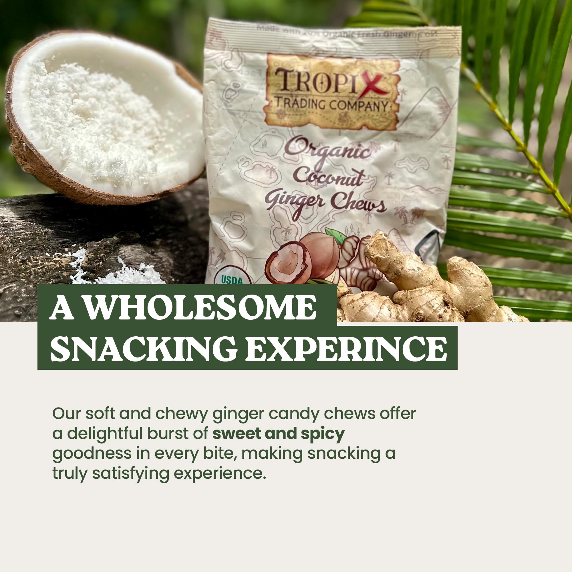 Tropix Trading Company - Organic Ginger Chews, Sweet and Spicy Ginger Chews Made From USDA Fresh Ginger, Non-GMO and No Added Flavorings, Vegan