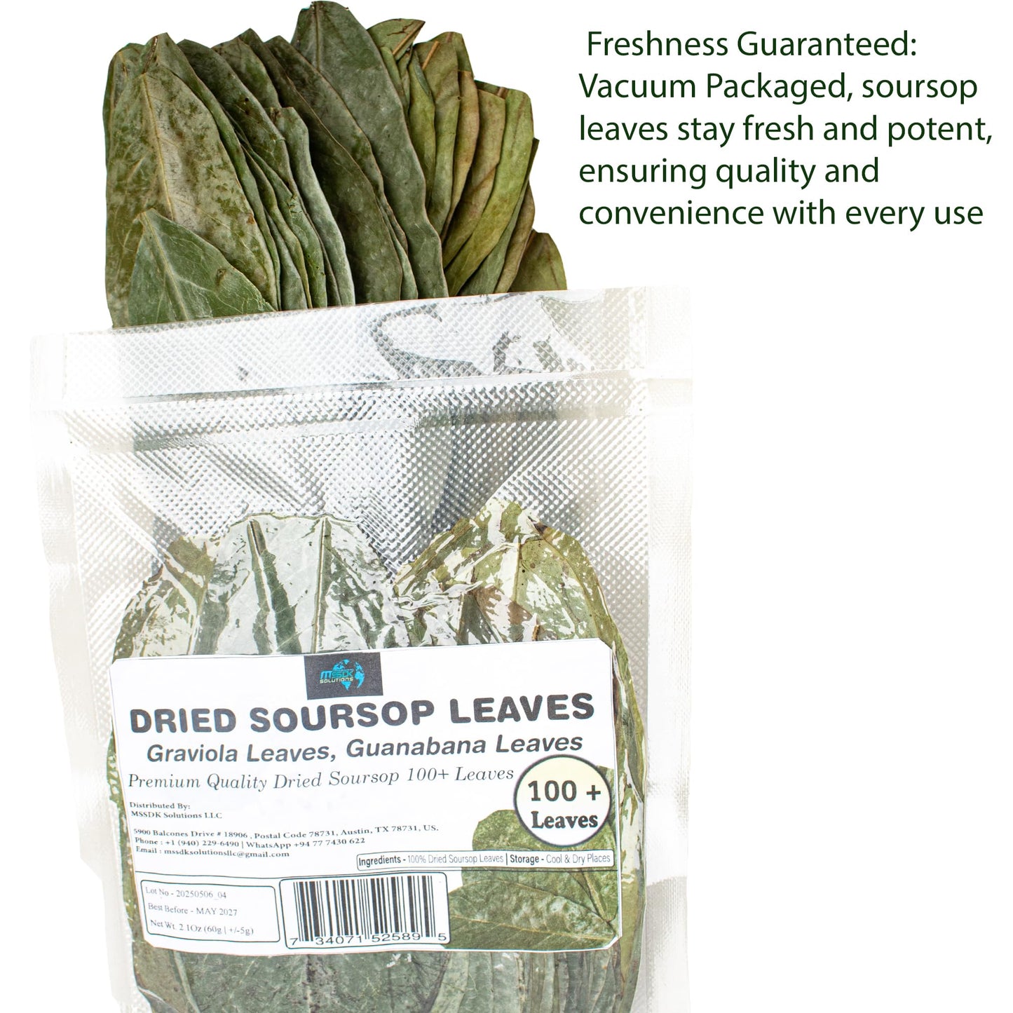 Dried soursop leaves Graviola Leaves Tea - Whole Dried Guanabana Loose Leaf, 100+ Leaves, Caffeine-Free, Vacuum-Sealed Pack