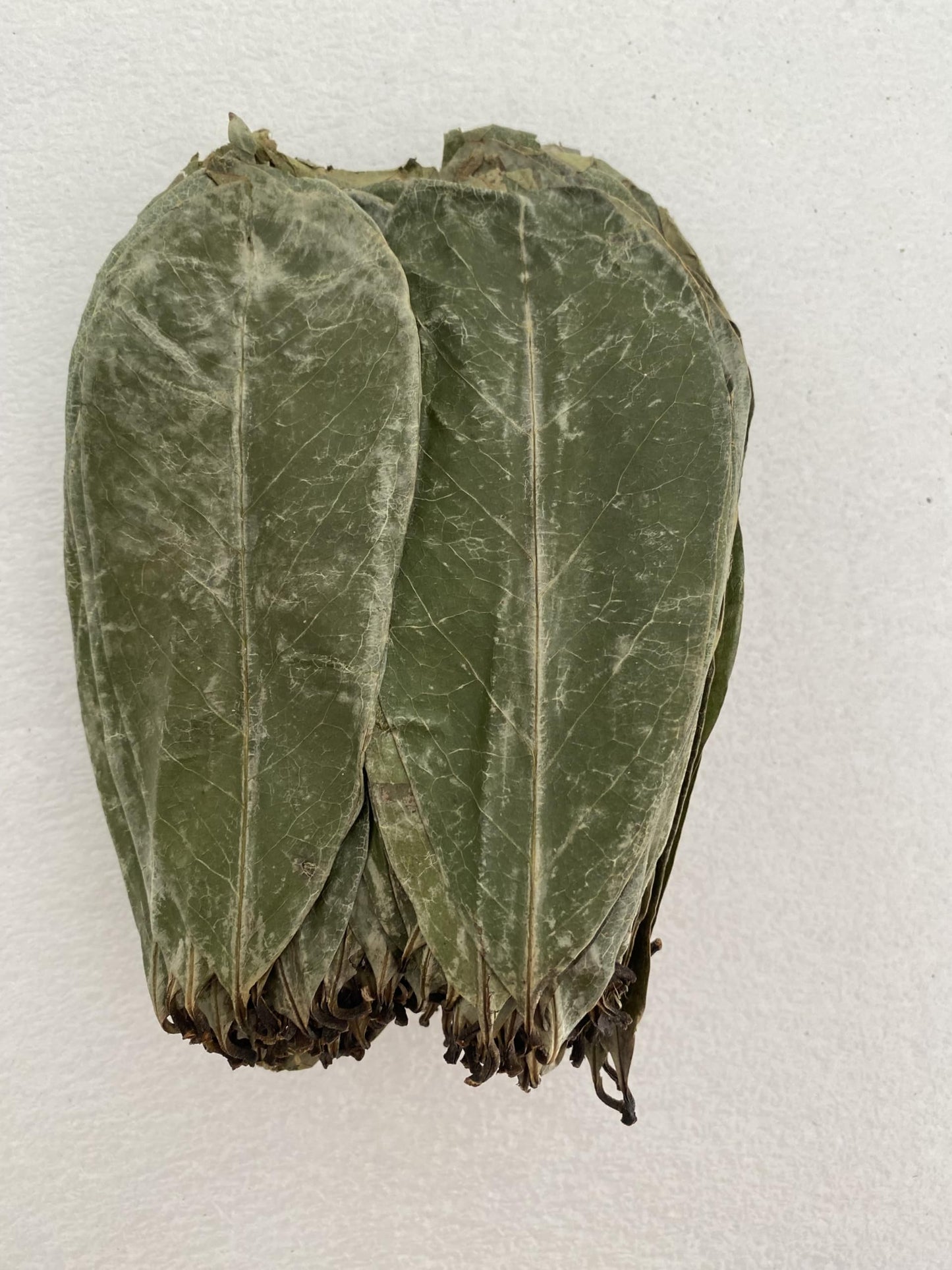 Premium Soursop Graviola Guanabana Dried Leaves for Tea, 120 gr 350-400 Soursop Leaves.