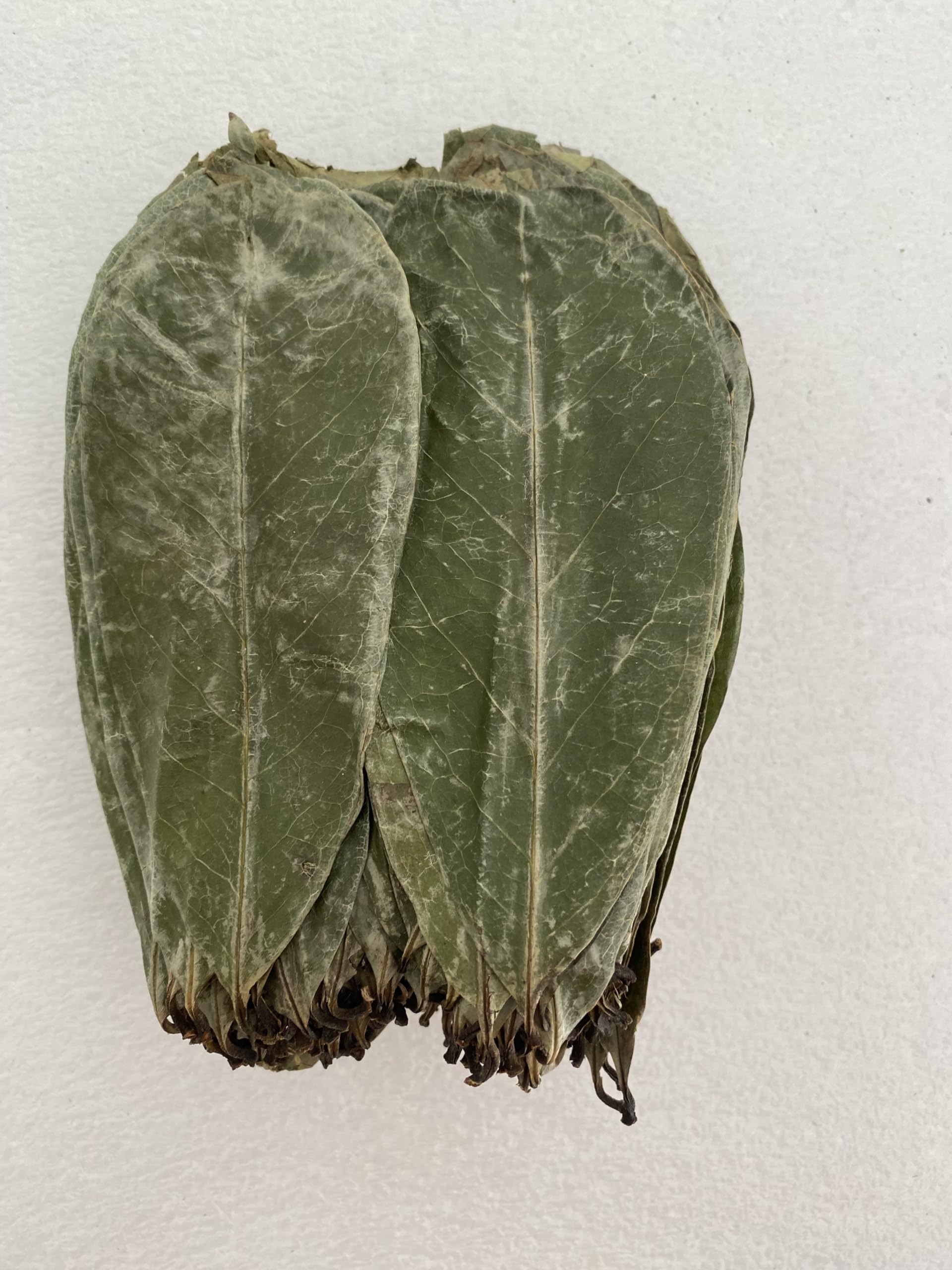 Premium Soursop Graviola Guanabana Dried Leaves for Tea, 120 gr 350-400 Soursop Leaves.