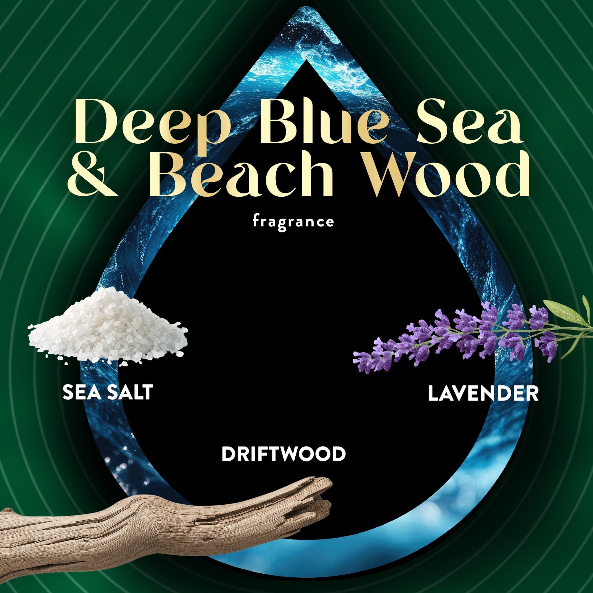 Air Wick Plug-In Scented Oil Refills, 4 Count, Deep Blue Se & Beach Wood, Air Freshener, Essential Oils