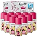 Metered Air Freshener Refills for Aerosol Dispenser - Mango Scent - 6.2 oz - 12 Pack - Automatic Air Freshener Spray Refill - Commercial Aerosol