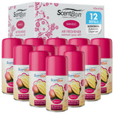 Metered Air Freshener Refills for Aerosol Dispenser - Mango Scent - 6.2 oz - 12 Pack - Automatic Air Freshener Spray Refill - Commercial Aerosol