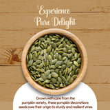NY SPICE SHOP Raw Shelled Pumpkin Seeds - 5 Lbs. (Pound) Raw Shelled Pepitas (Pumpkin) - Whole Raw Pumpkin Seeds - Ready to Eat Natural Pumpkin Seed