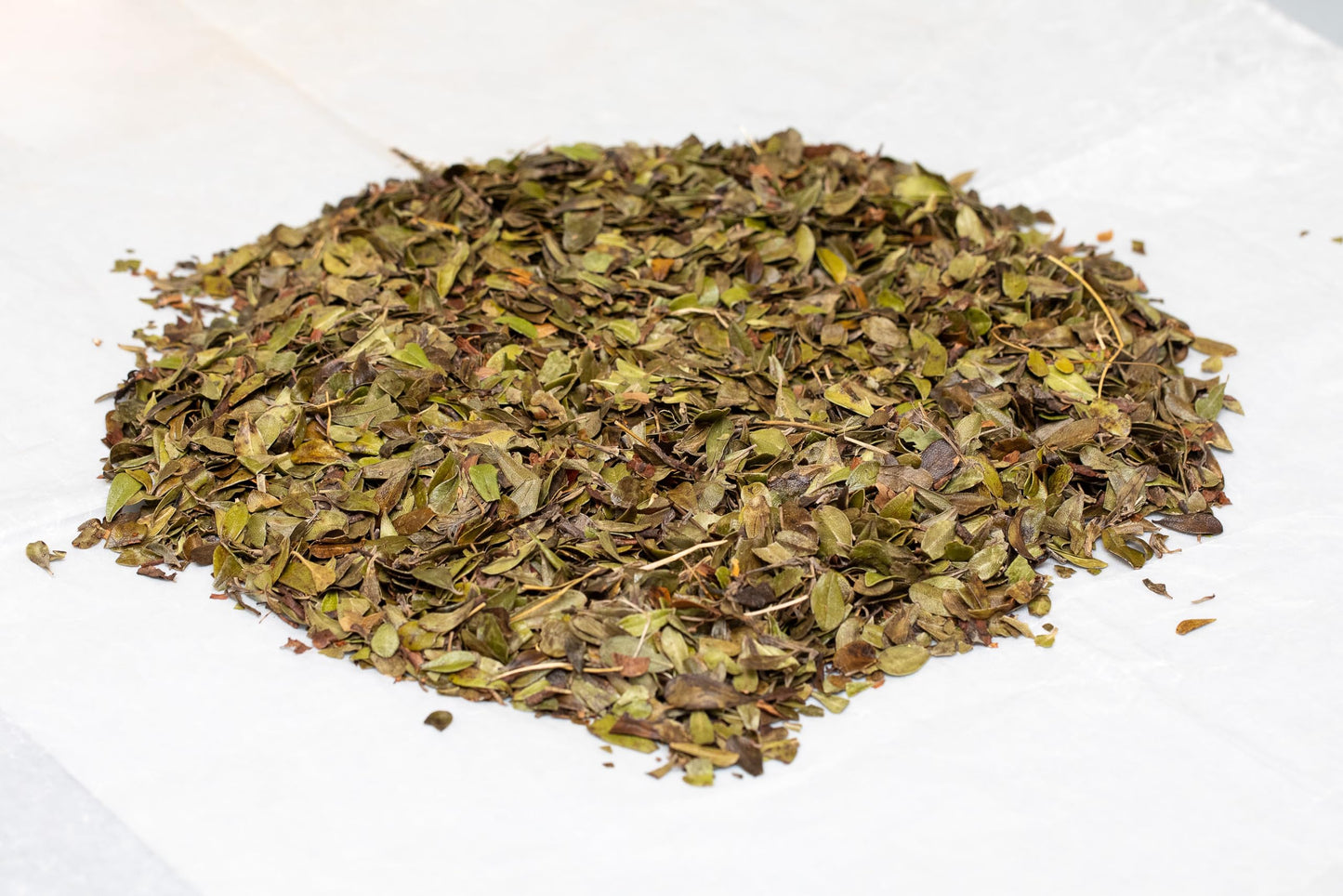 Organic Uva Ursi Dried Leaves - 8Oz (REAL WILD HARVEST) | 100% USDA Certified Organic | Loose Leaf (Arctostaphylos Uva-Ursi aka Bearberry Leaves aka