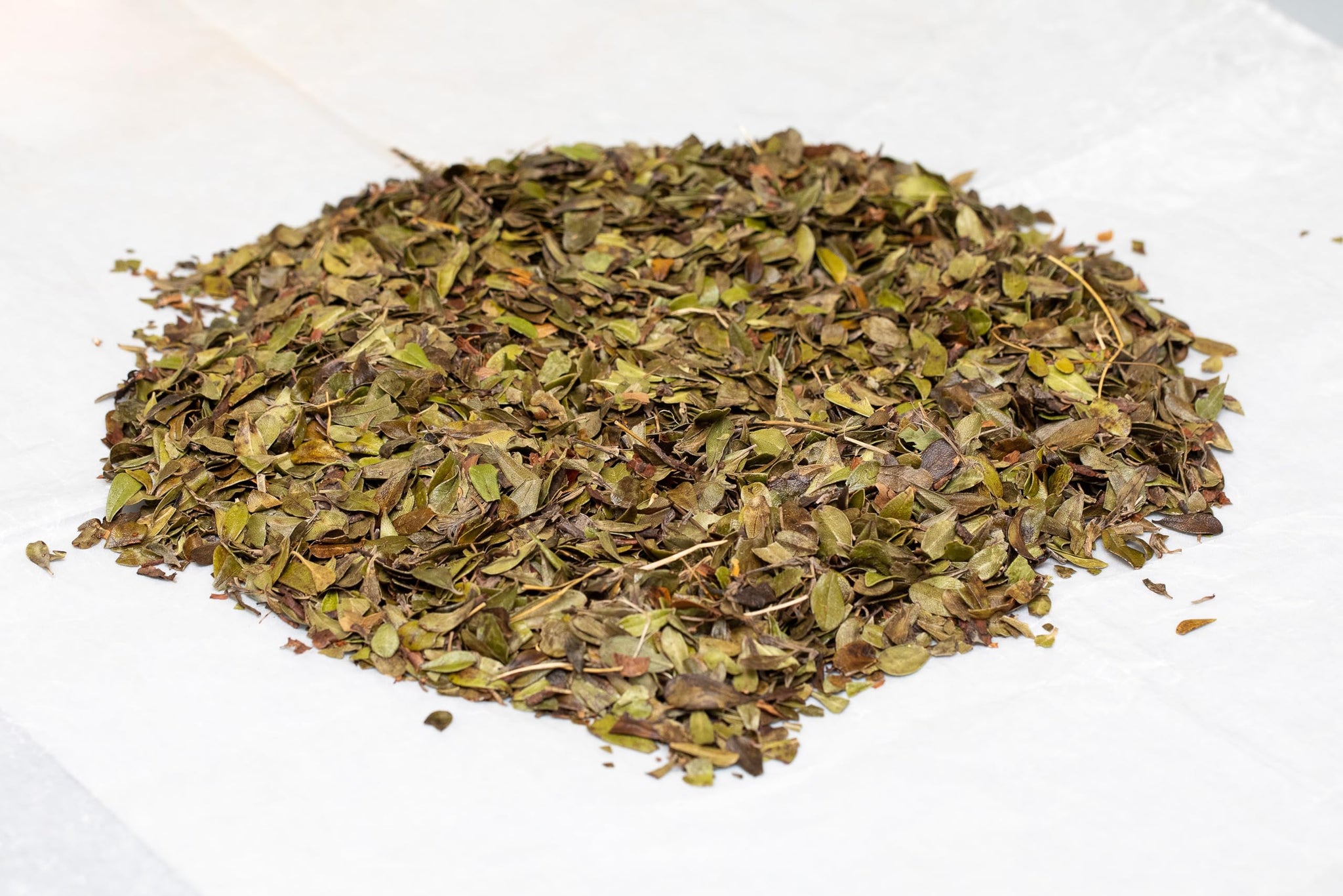 Organic Uva Ursi Dried Leaves - 8Oz (REAL WILD HARVEST) | 100% USDA Certified Organic | Loose Leaf (Arctostaphylos Uva-Ursi aka Bearberry Leaves aka