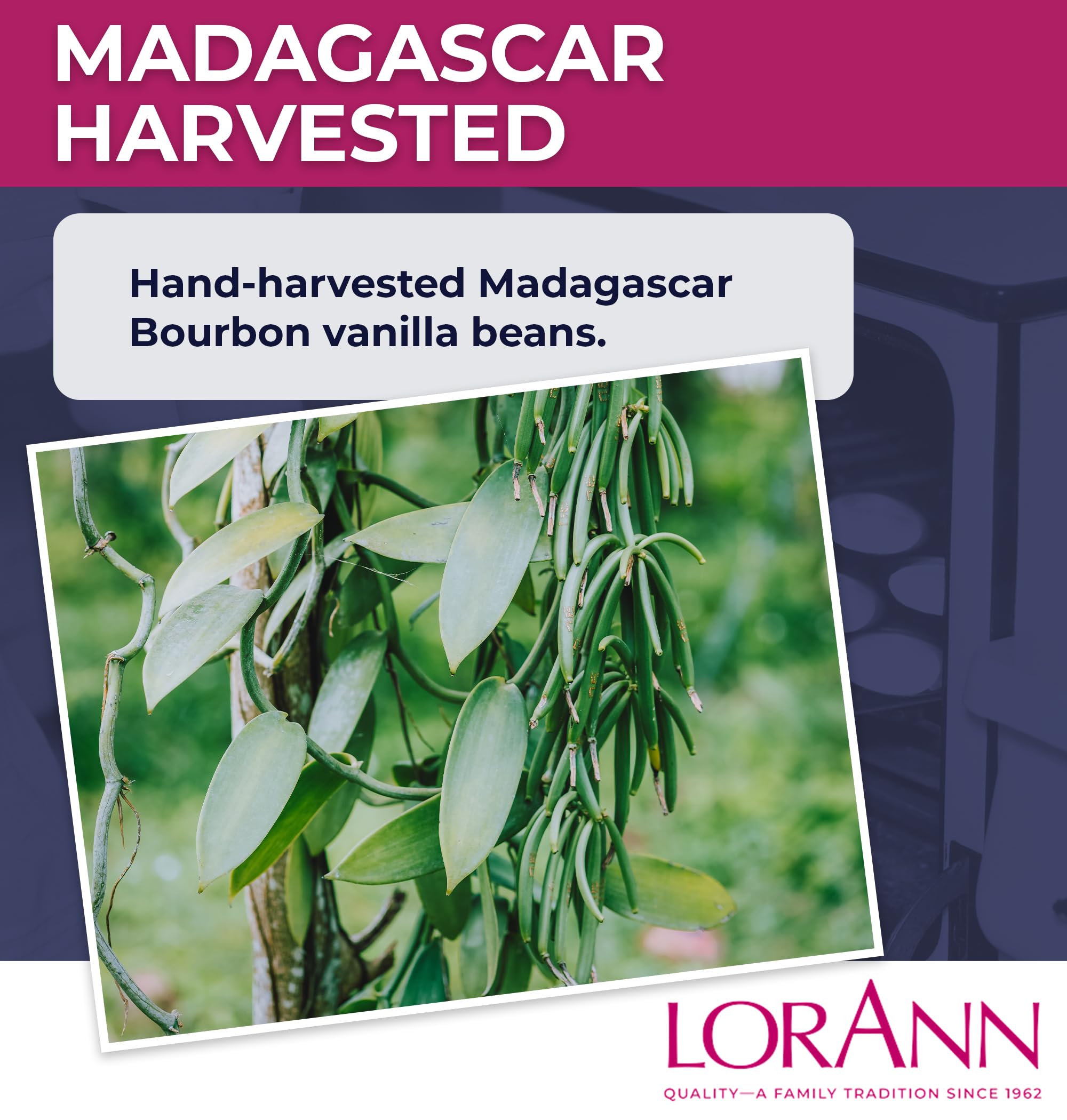 LorAnn Oils Reserve Natural Organic Madagascar Bourbon Vanilla Bean Paste - Pure and Organic Bean Extract for Baking, Madagascar Flavor, Bourbon
