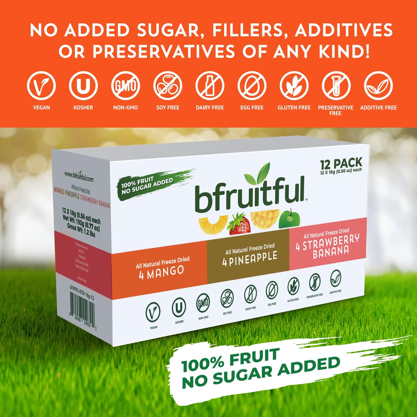 bfruitful Freeze Dried Fruit Variety Pack - Mango, Strawberry Banana & Pineapple, Freeze Dried Fruit Snacks for Kids & Adults, No Sugar Added, Vegan