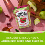 Wiley Wallaby Licorice 10 Ounce Classic Gourmet Soft & Chewy Australian Original Fruits Licorice Candy Twists, 1 Pack