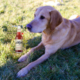 Bruce Cost Unfiltered Ginger Ale - Pomegranate with Hibiscus - 12 oz (24 Glass Bottles)
