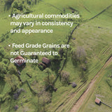 New Country Organics | Organic Flaxseed for Livestock | Certified Organic and Non-GMO | Feed Grade | 40 lbs