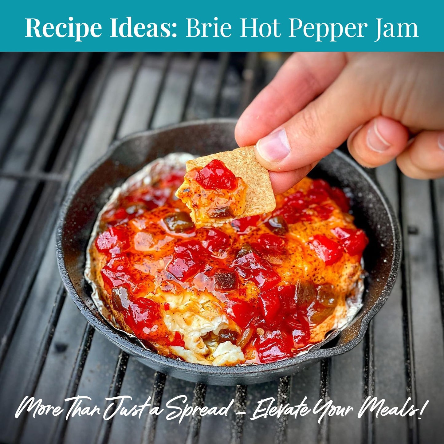 Terrapin Ridge Farms Hot Pepper Bacon Jam - Sweet & Spicy Spread with Real Bacon & Jalapeño - Gourmet Condiment for Cheese, Meats, and Appetizers