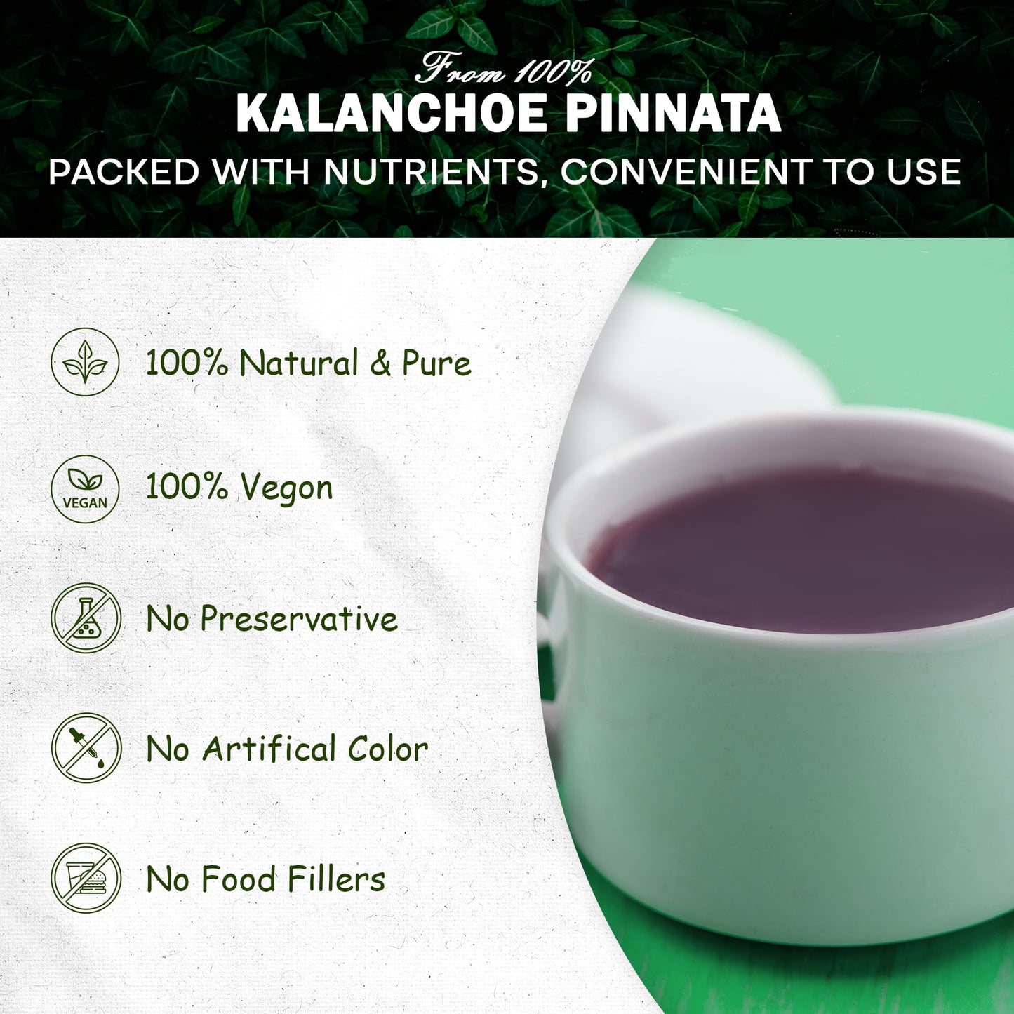 Kalanchoe Pinnata Leaves Powder Herbal Tea - 100% Pure, Organic Ground Powder for Natural Use in Cooking and DIY Projects