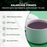 Kalanchoe Pinnata Leaves Powder Herbal Tea - 100% Pure, Organic Ground Powder for Natural Use in Cooking and DIY Projects
