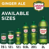 Canada Dry Ginger Ale Soda, 12 fl oz cans, 12 pack