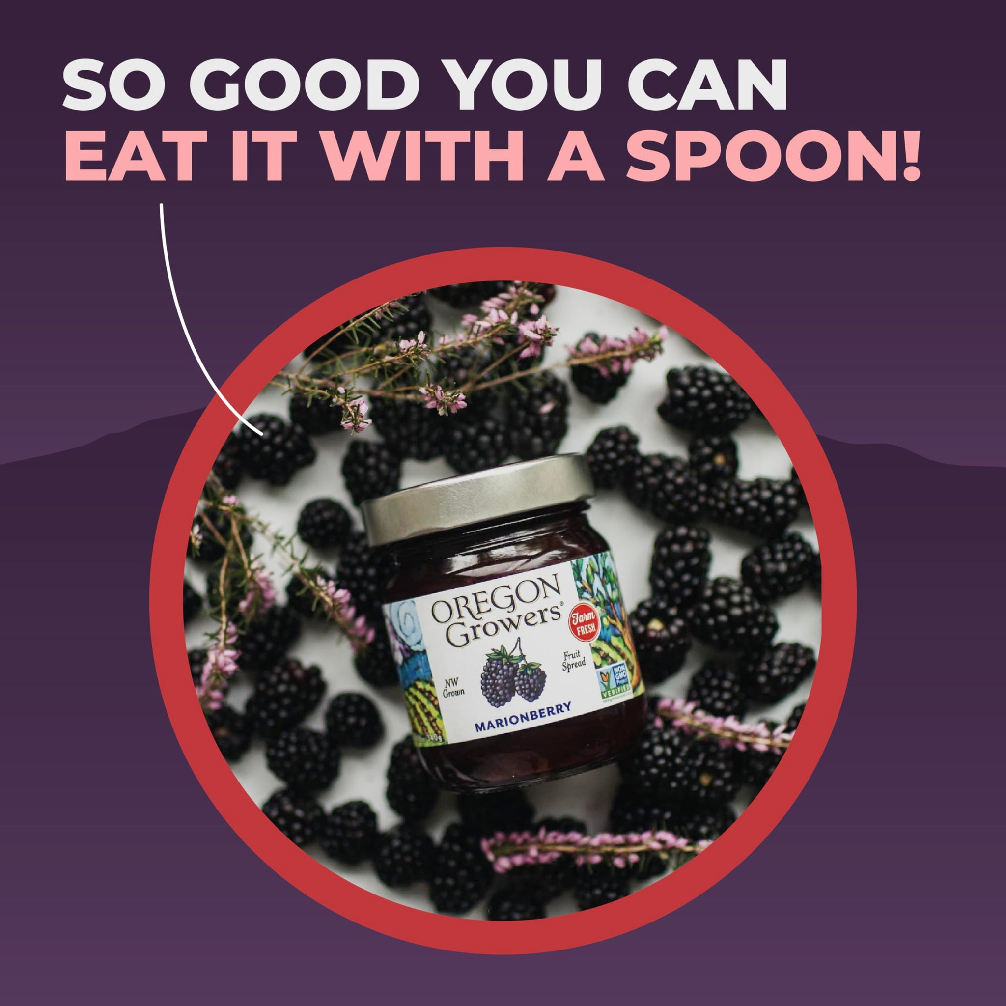 Oregon Growers, Marionberry Jam, Strawberry Jam, & Red Raspberry Jam Variety Pack - Marionberry Preserves, Strawberry Preserves, Red Raspberry