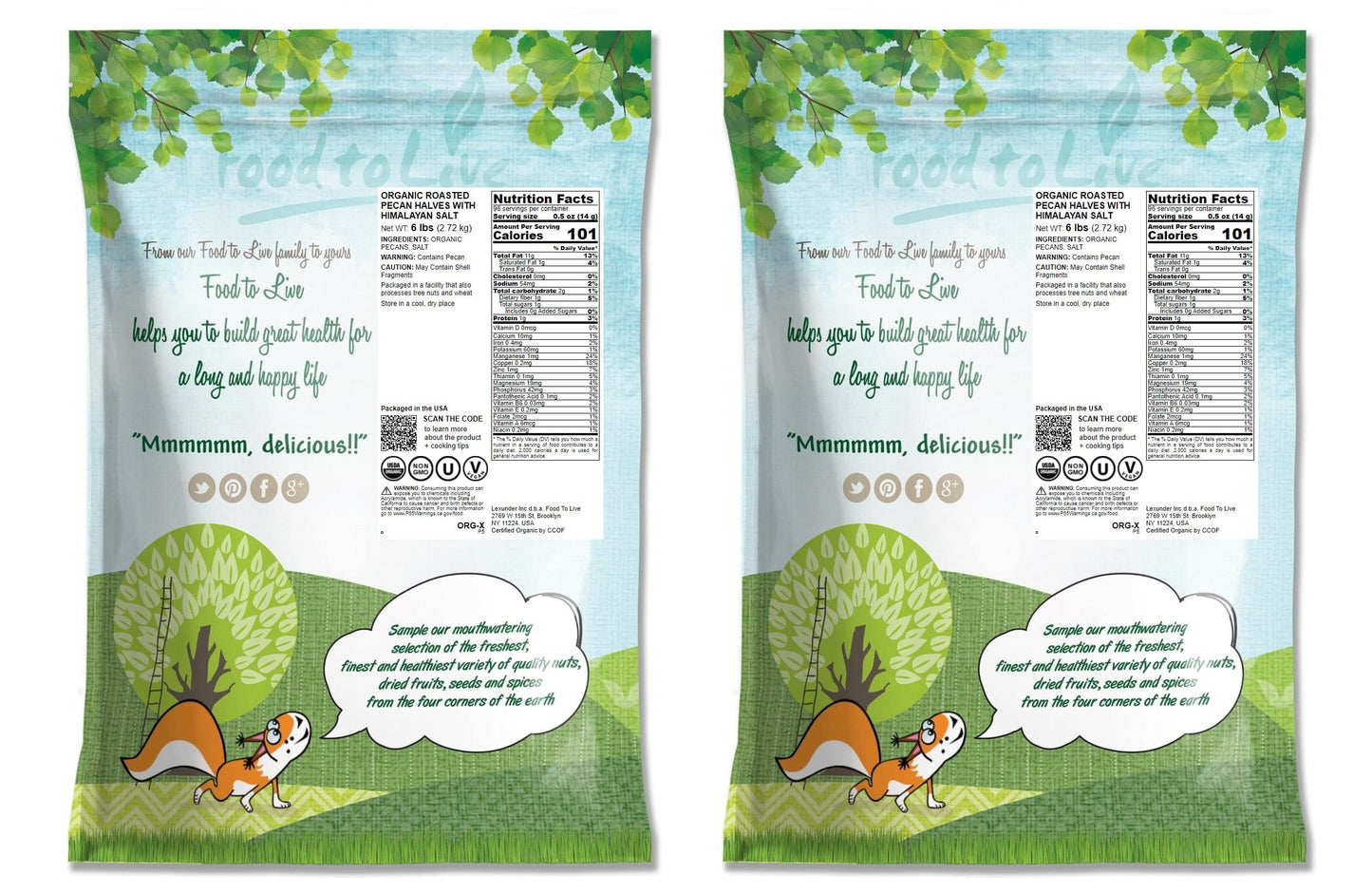Food to Live Organic Dry Roasted Pecan Halves with Himalayan Salt, 12 Pounds Non-GMO, Oven Roasted Lightly Salted Nuts, No Oil Added, Vegan Snack