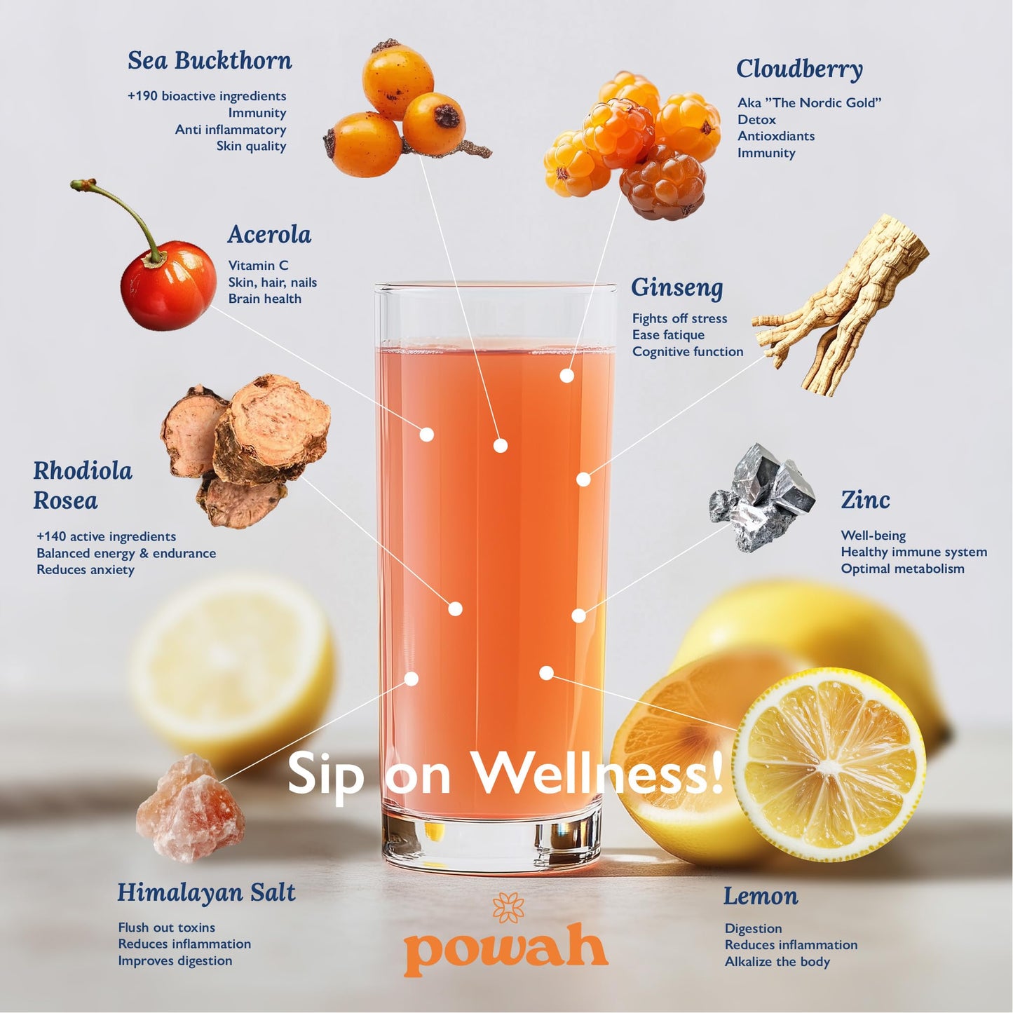 Powah Daily Hustle Wellness Drink - Electrolytes, Adaptogens & Immunity Support. 30 Sugar-Free Servings. Clean Superfoods. Nordic Berry Flavor.