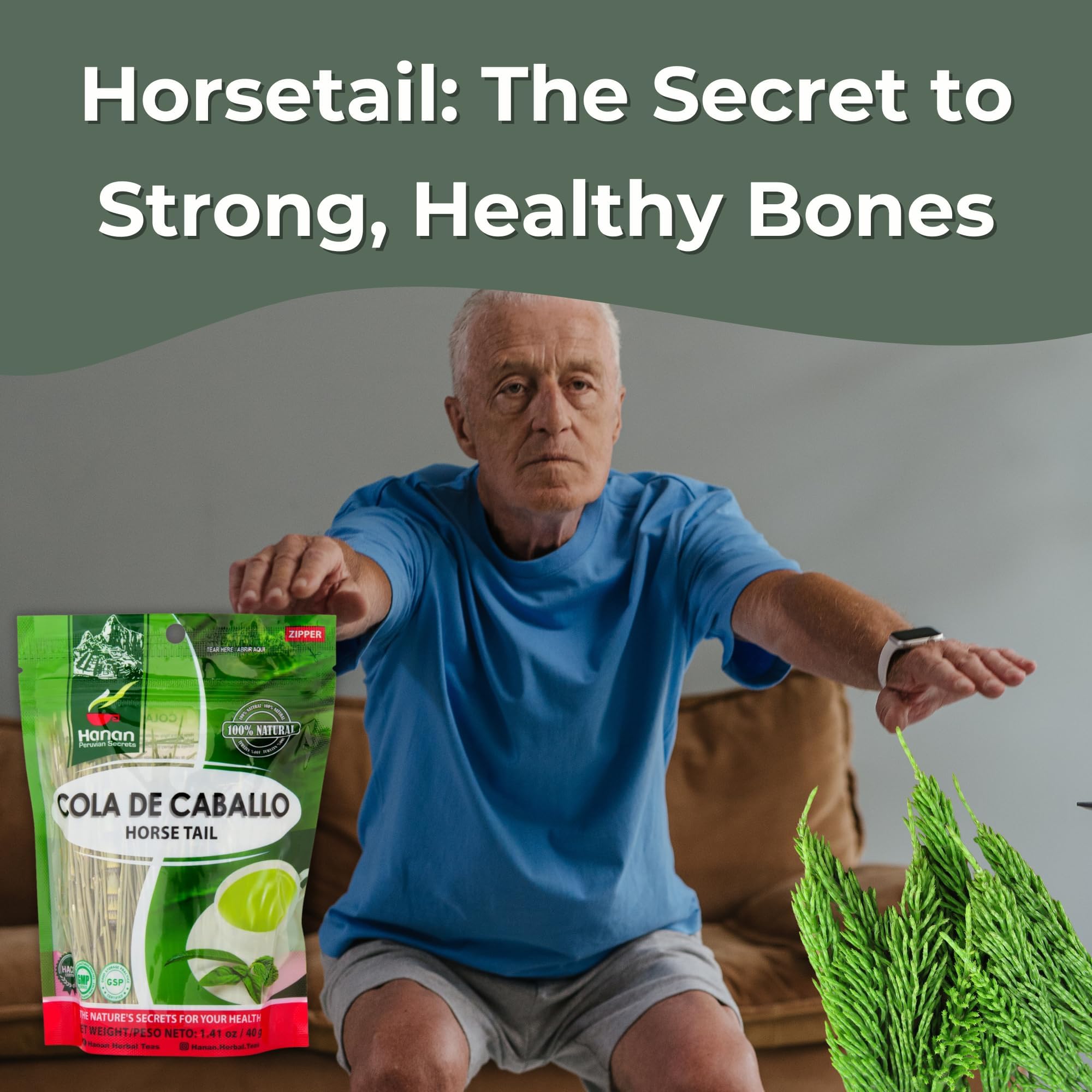 Hanan Horsetail Herb Leaves 1.4oz - Cola de Caballo Hierba 40g Natural Dried Horsetail Tea/te de cola de Caballo hierba - AKA Shavegrass, Snake Grass