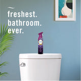 Febreze Air Mist Air Freshener Spray, Odor-Fighting Room Spray, Air Fresheners for Home and Bathroom and Kitchen, Aerosol Can, Mountain Scent, Purple
