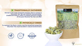 Organic Greek Mountain Tea Premium Quality from Mount Olympus Handpicked and Air-Dried (sideritis scardica) 40g (1.41oz) approx 60 Cups in DoyPack