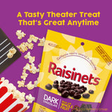 Raisinets, Dark Chocolate Covered California Raisins, Movie Theater Candy Box, 3.1 oz each, Bulk 15 Pack