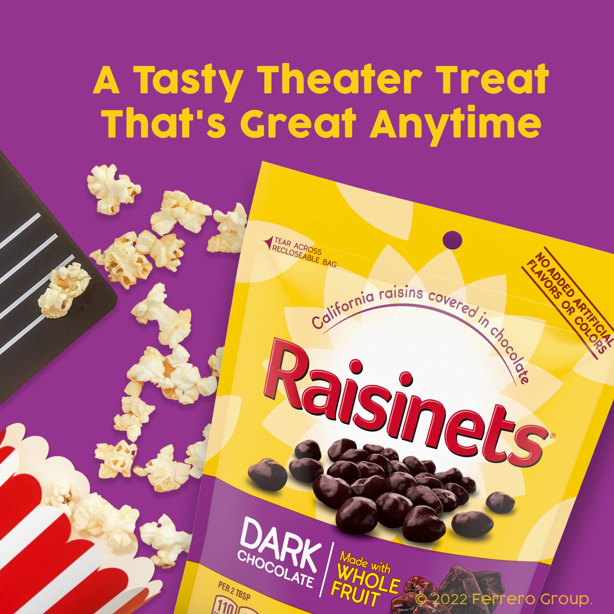 Raisinets, Dark Chocolate Covered California Raisins, Movie Theater Candy Box, 3.1 oz each, Bulk 15 Pack
