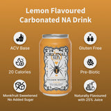 Original Sin Non Alcoholic Cider - Golden Widow Tea | Sparkling Apple Cider Vinegar Drink with 25% Fruit Juice | Sugar Free Non Alcoholic Drinks