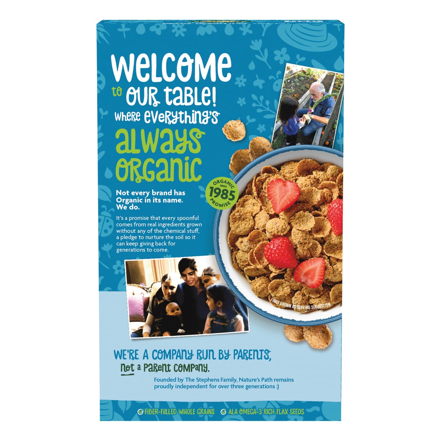 Nature's Path, Cereal Flax Plus Flakes Organic, 13.25 Ounce