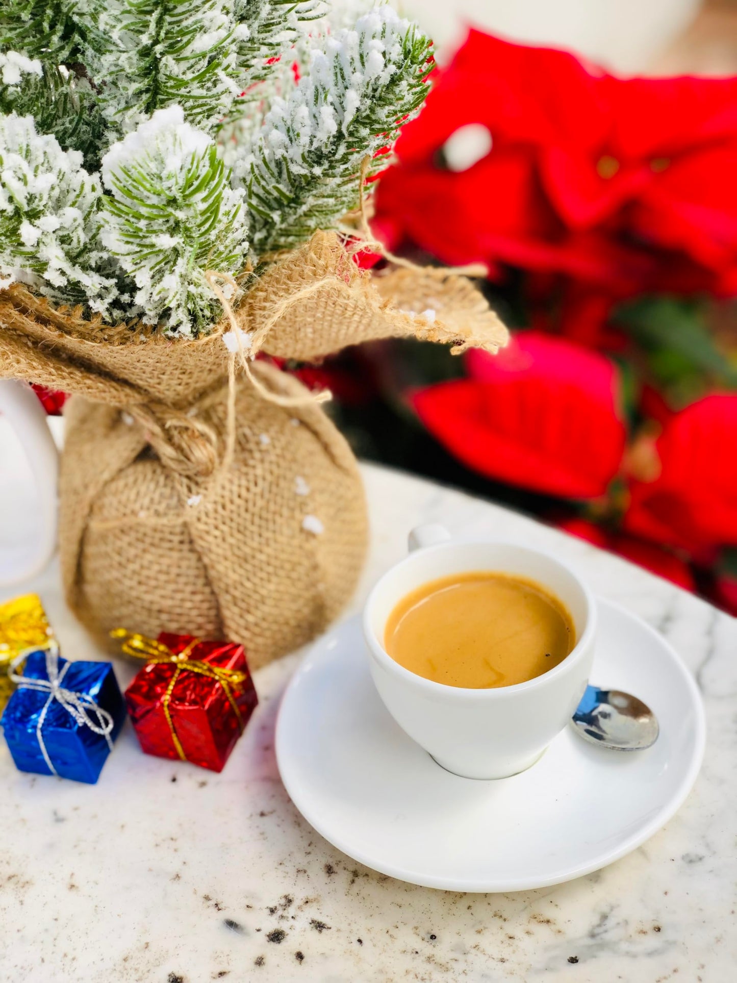 Barnie's Coffee Santa's White Christmas Ground Coffee with Coconut, Caramel, and Warm Vanilla Flavors, Medium Roasted Arabica Coffee Beans, 12 oz Bag