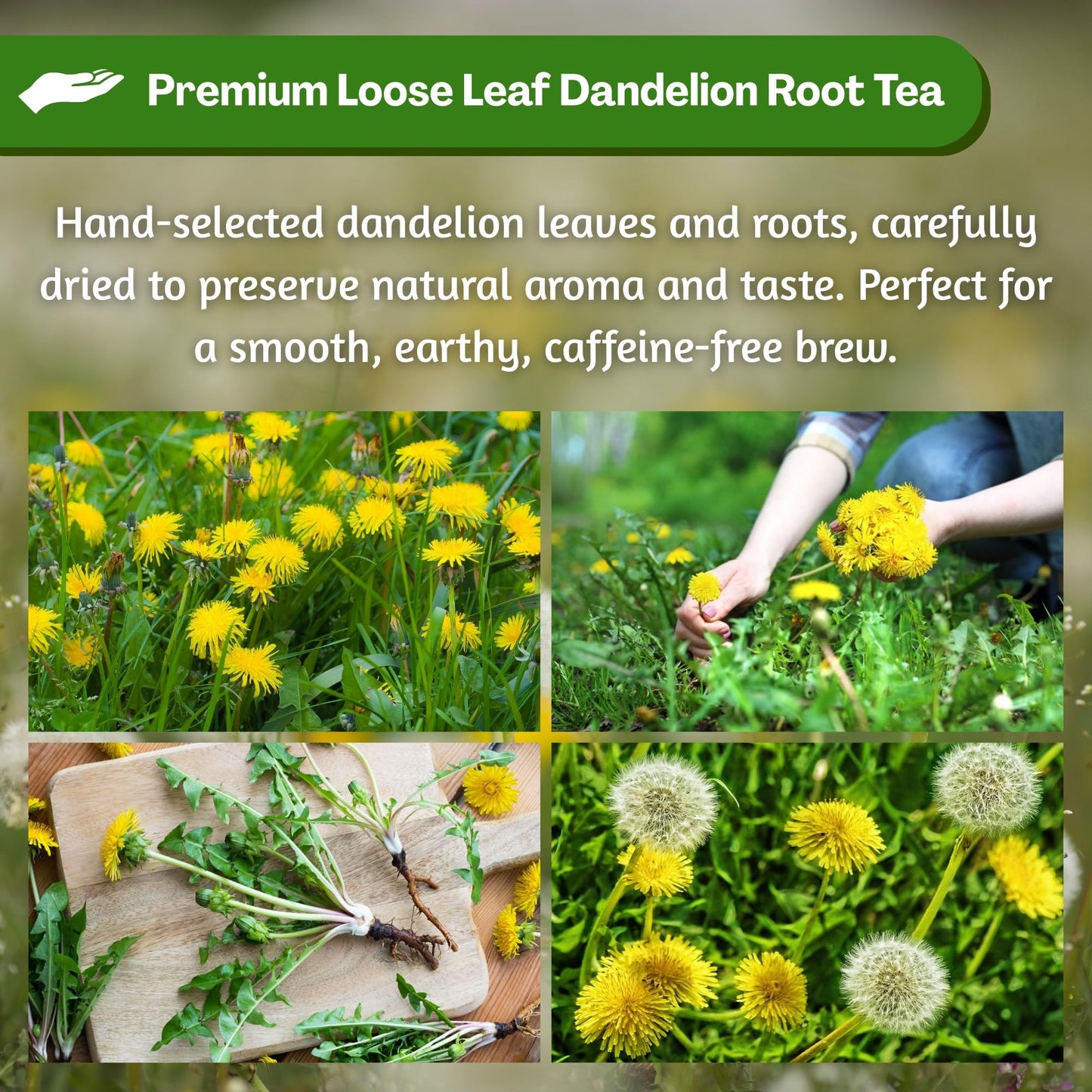 Hanan Dandelion Root Tea Loose Leaf - 100% Natural Diente de León Herbal Tea from Peru, Caffeine-Free Infusion for Digestive Support, Detox, Dried