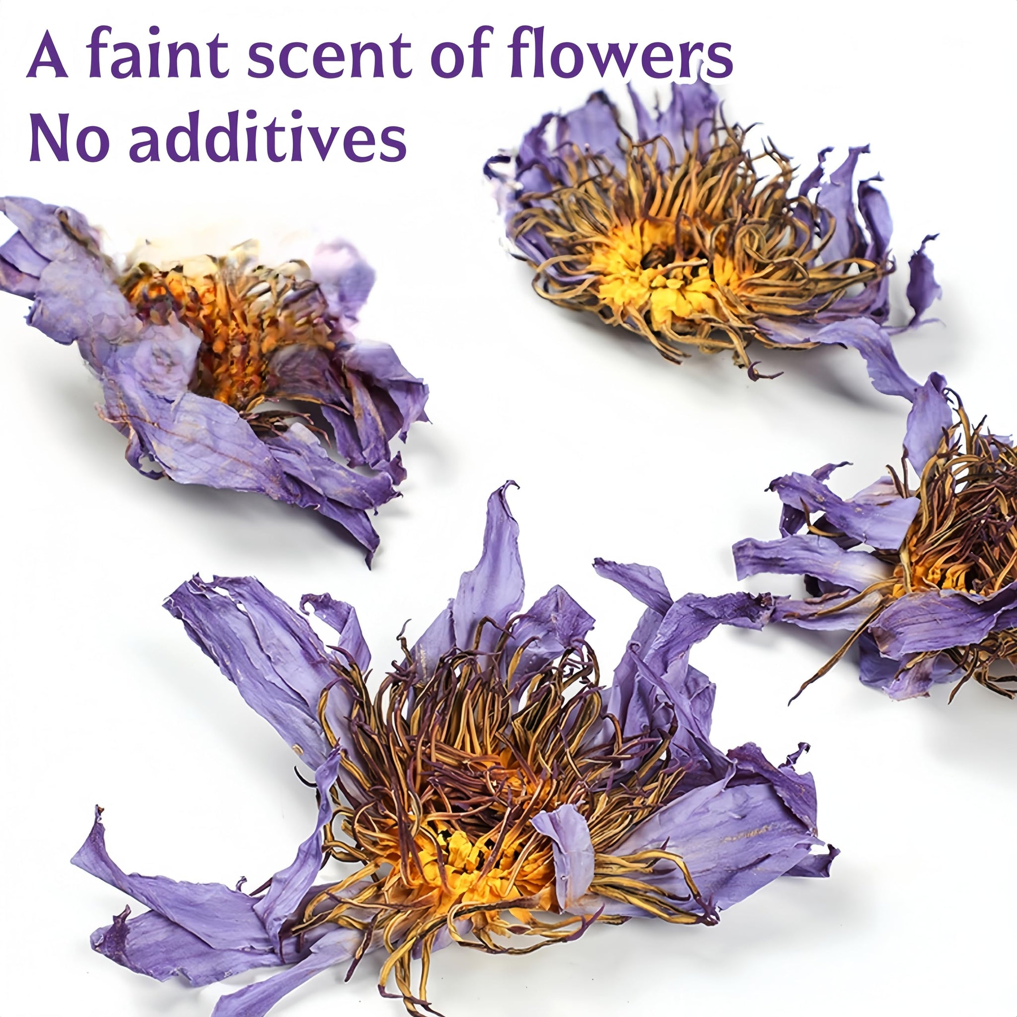 Lotus Flower Tea | Natural Whole Blue Dried Flowers | Caffeine-free - 1 oz