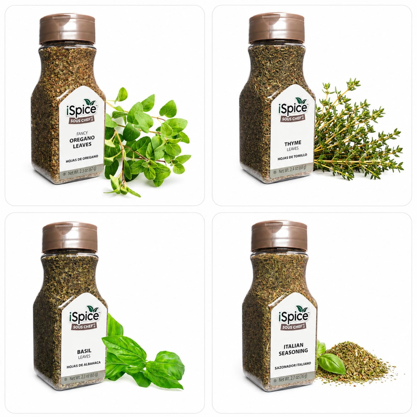 iSpice Spices and Seasonings Sets Starter Kitchen Set for Cooking - Spices Variety Pack Herb, & Seasoning |Gifts Home Basic Spice Set | 24 Pack