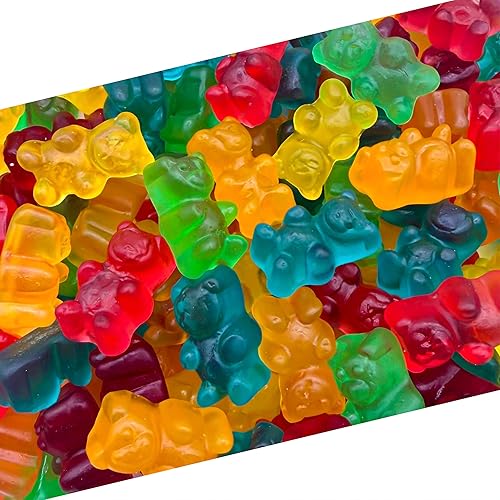 Gummi Bears | 1 Pound Bag | Gummy Candy Bulk | Chewy Candy for Goodie Bags, Gifting, Buffets, Dessert Decorating | Assorted Fruit Flavored Gummies |