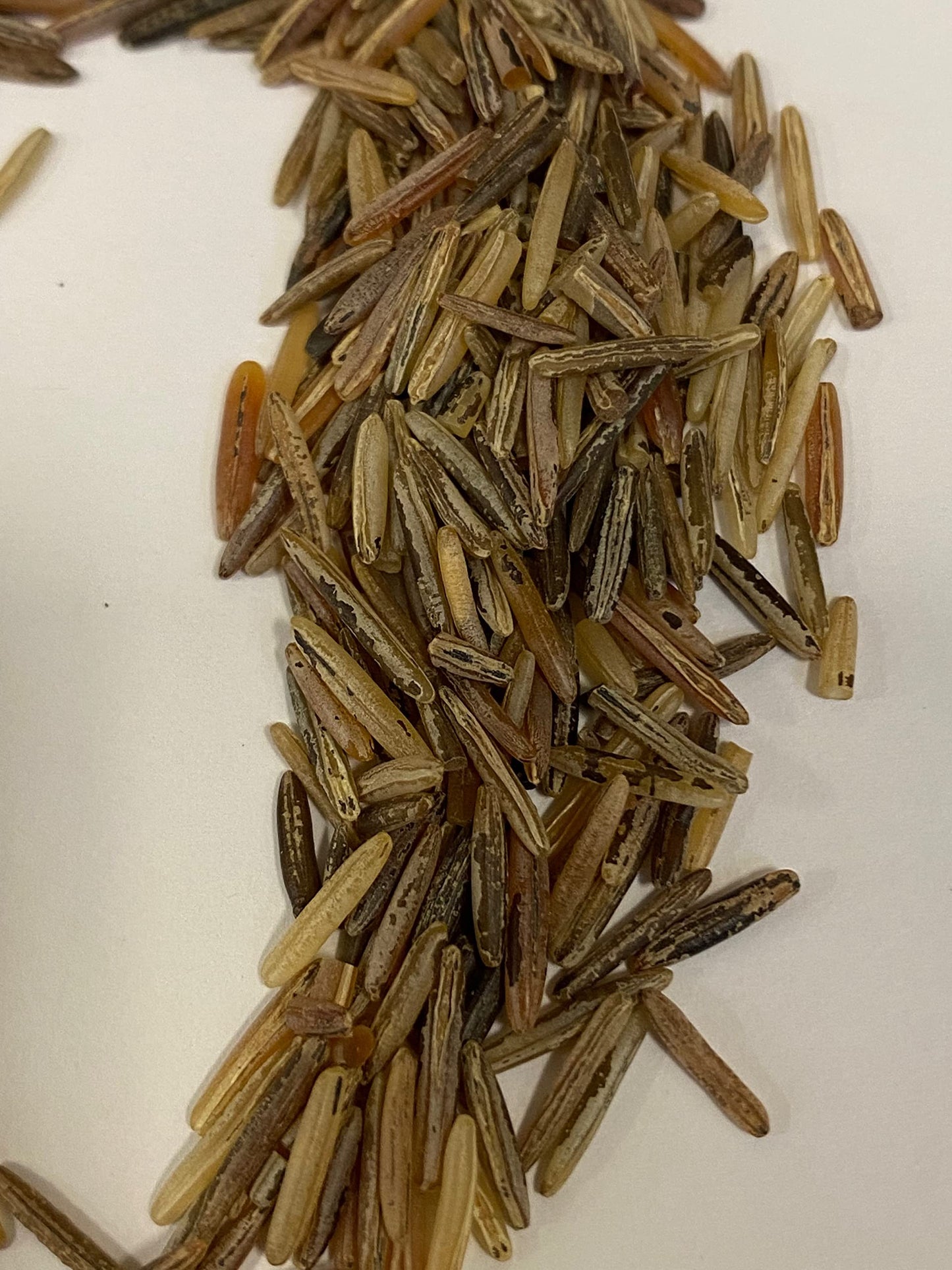 KC's Best Minnesota Cultivated Wood Parched Wild Rice