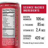 NEORON Focus + Calm | Nootropic Drink for Mental Clarity - Stress & Burnout Support (12-Pack, Ginger Kick, Orange & Grapefruit, Sugar-Free)