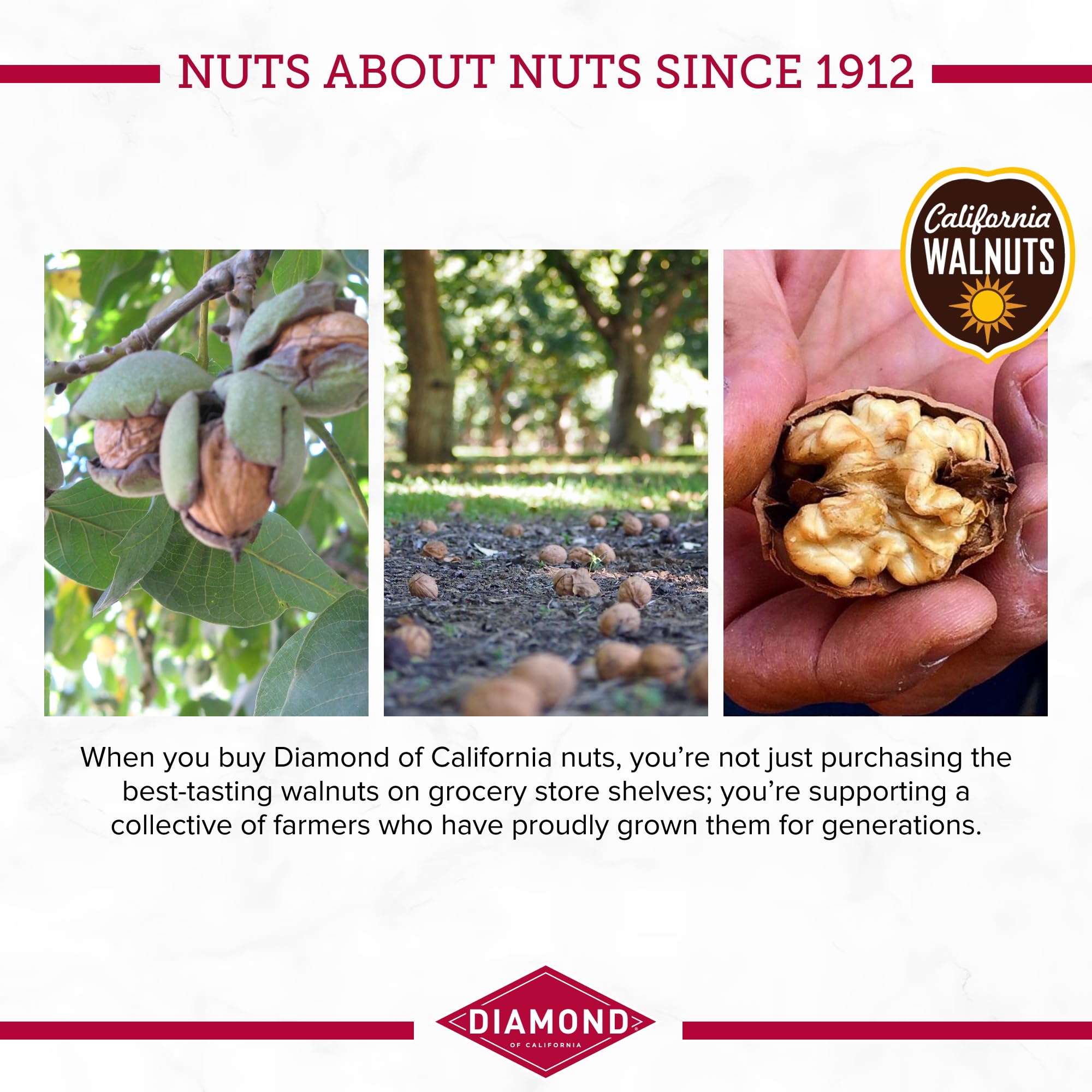 Diamond of California Chopped Walnuts, 2.25 oz, 1 Count