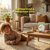 Candy Tree Organic Fruit Drops - No Added Sugar, Vegan, Gluten-Free, USDA Organic, Allergen-Free, Assorted Cherry, Lemon, Orange, Raspberry