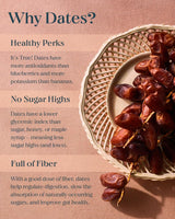Spring & Mulberry, Date Pecan Date Sweetened Chocolate Bar, 2.1 Ounce