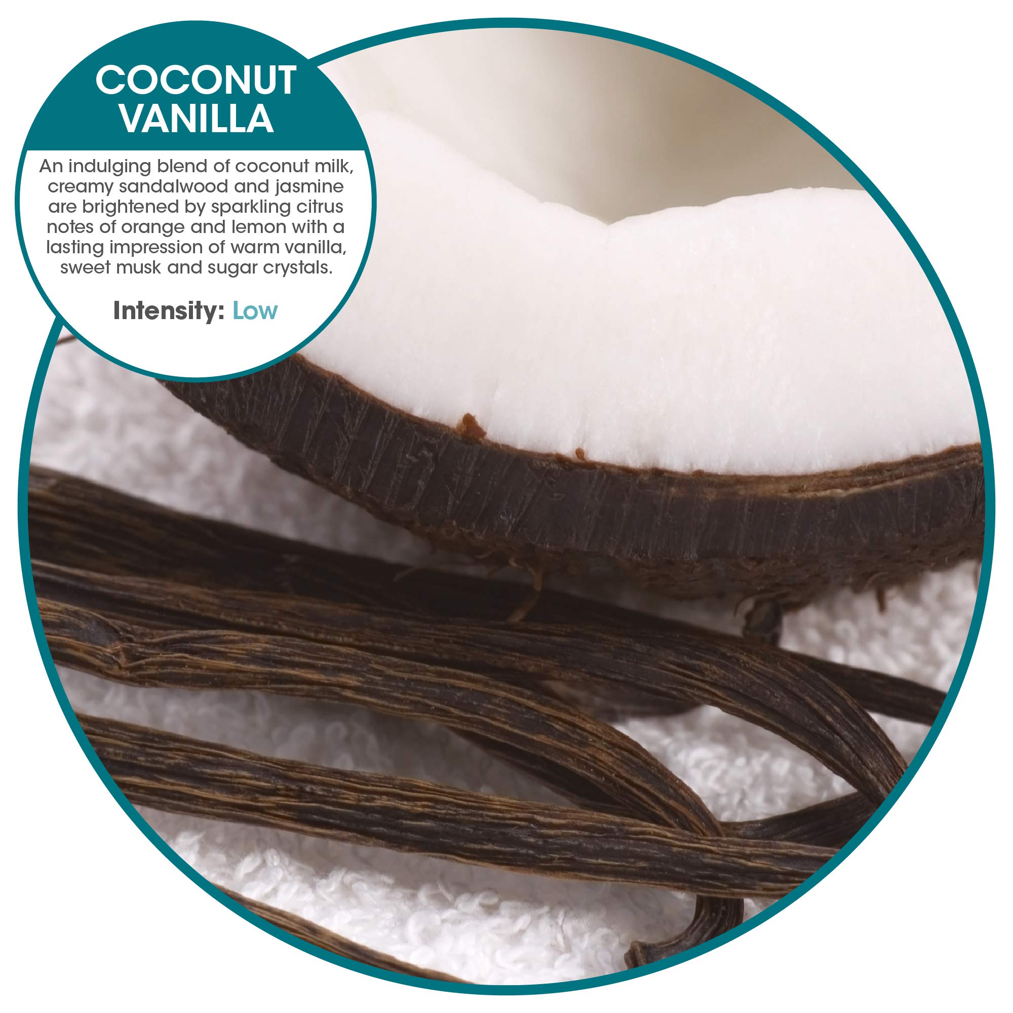 Fresh Products ourfreshe Plug In Air Freshener 30 Day Refills Replace Messy Aerosols with Dry Fragrance For Use in Medium Sized Spaces Coconut Vanilla