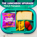 Yummy Tummies Low Sugar Fruit Snacks, 3g Sugar Per Pouch, 0.8 oz (Pack of 22)