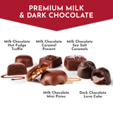 Fannie May, Milk and Dark Chocolate Holiday Gifts, Assorted Chocolates, Chocolate Gift Box, 7 oz