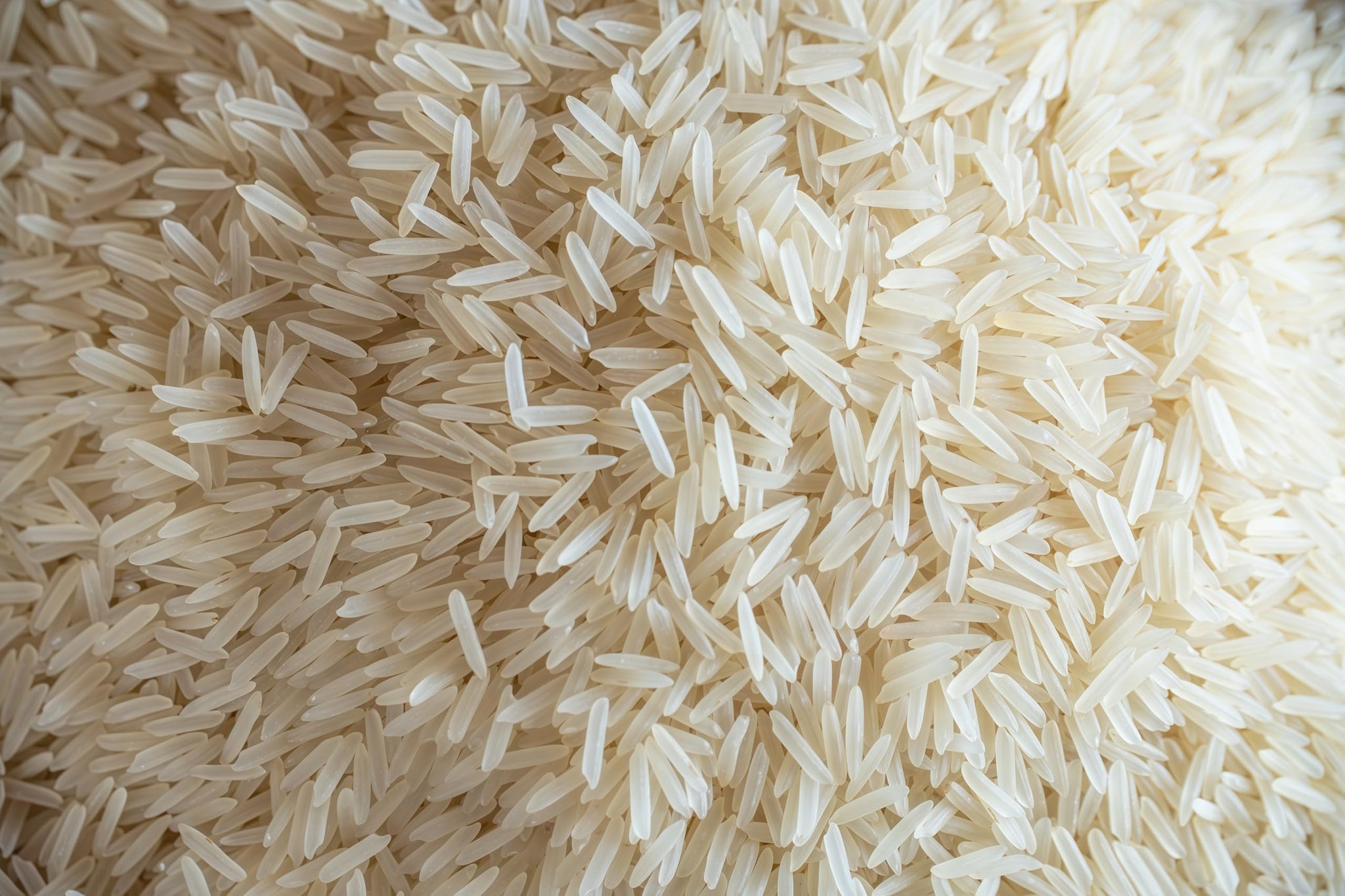 Ameeri Premium Sella Basmati Rice - Naturally Aged, Parboiled, Extra Long Grain, Aromatic & Fluffy | 10 LB Bag