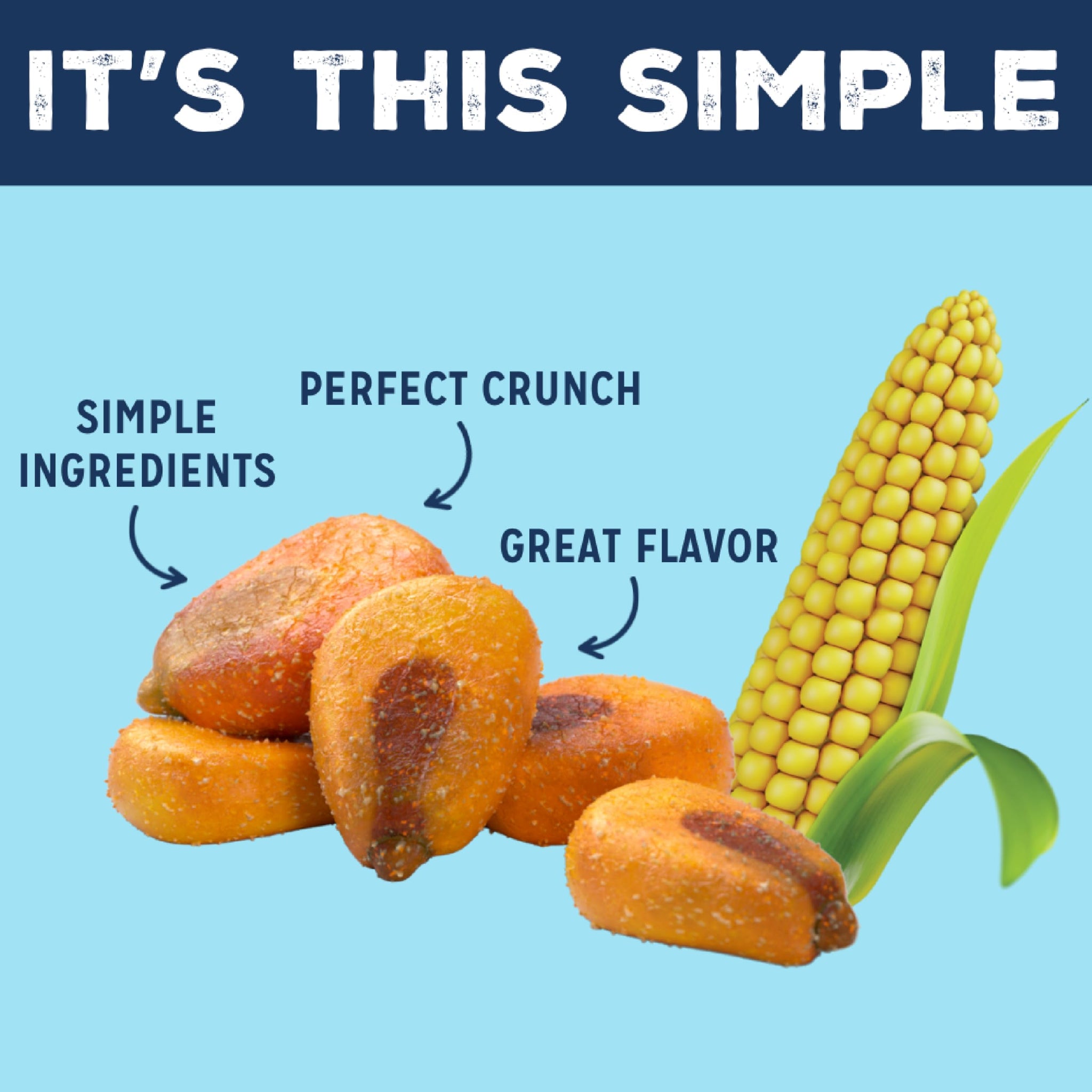 LOVE CORN Sea Salt - Crunchy Roasted Corn Snack, 3 Simple Ingredients, Gluten Free, Non-GMO, Zero Sugar, Vegan, Plant Based- Alternative to Chips