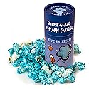 Wabash Valley Farms Blue Raspberry Glaze Topping - Gourmet Popcorn Topping for Movie Night Snacks, Popcorn Gift Sets - Sweet Fruity Drizzle for