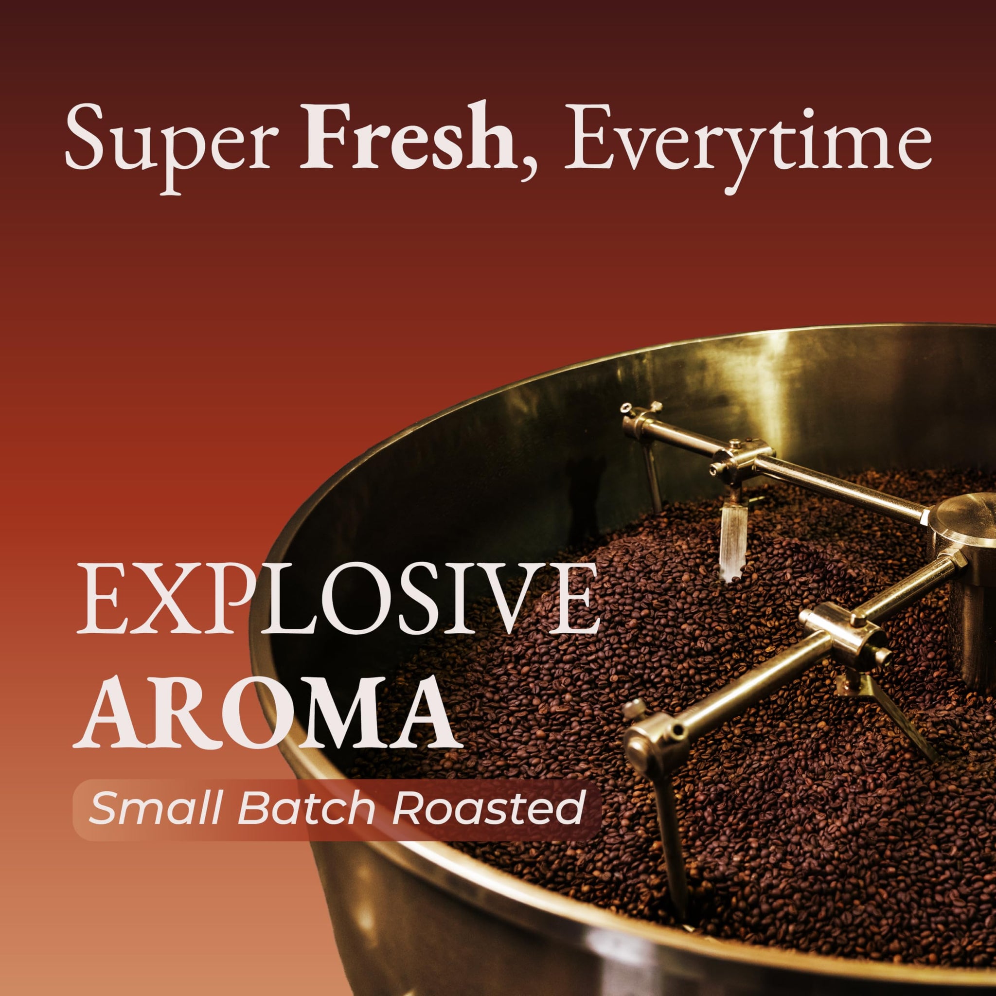 Cafely BanMe - Rare Peaberry Robusta Ground Vietnamese Coffee - Dark Roast, High Caffeine (Rich & Intense), Full Body, Low Acid, Single Origin, Direct